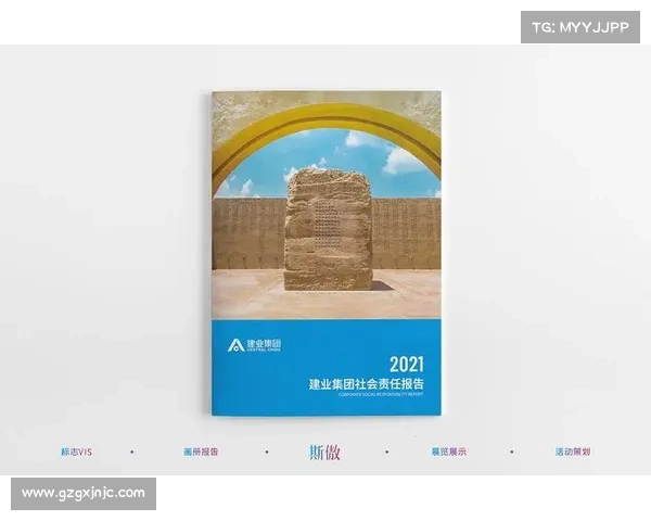 从企业化运作到社会责任担当浅析建业俱乐部五大核心性质转型路径