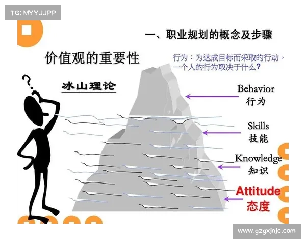 如何从工作态度与团队合作角度评估库普梅纳斯的职业精神